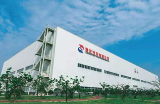 關閉一工廠拋售二工廠還裁4000人,神龍汽車的東標東雪實在不給力