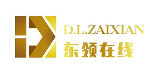 山東東領貸網絡科技