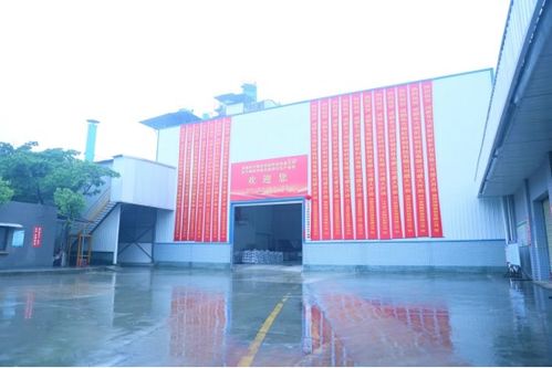 成都東方雨虹砂粉科技開業儀式圓滿舉行