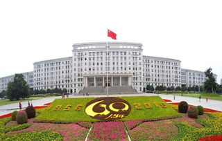 東風雪鐵龍c6助力電子科技大學60周年慶