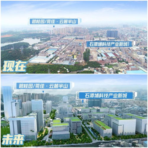 王炸 3萬出頭起,住千億產業環繞的塘廈人才灣