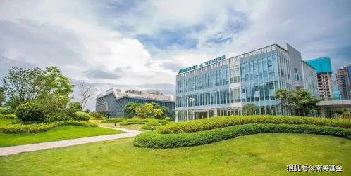 點亮 廣州建設世界顯示之都的金融初心和國企擔當