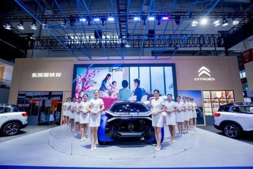 開啟電動化元年,東風雪鐵龍能否力挽狂瀾