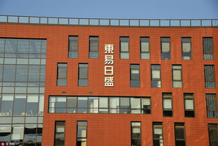 東易日盛上市五周年,陳輝想要走的科技家裝之路沒有改變