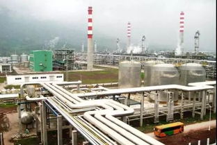 你好,佛羅里 達州