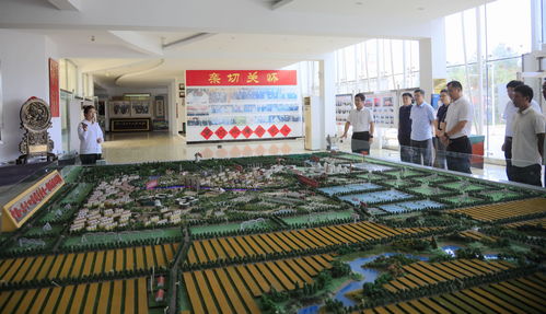 東北農業大學赴甘南縣開展 科技賦能促發展 醫療助力解民憂 活動