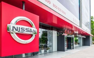 日產針對中國市場發布電動車 約為進口車半價