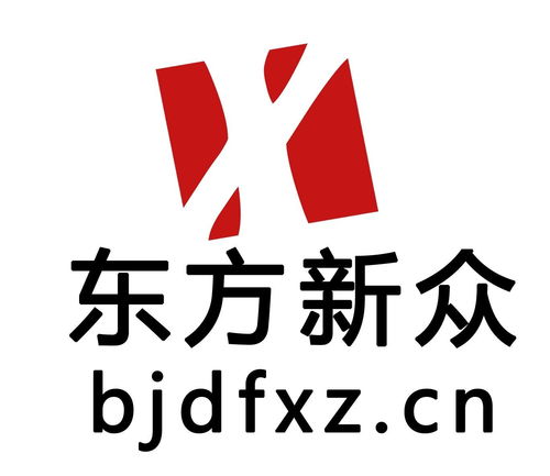 北京東方新眾科技發展