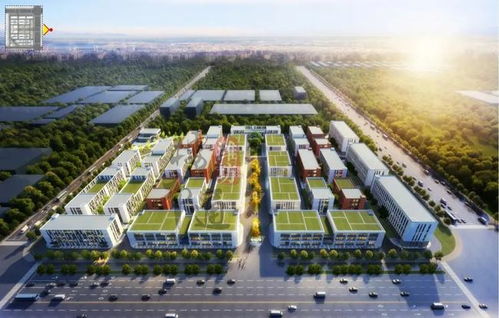 215.37億 濰坊這11個大工程集體亮相