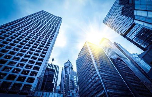 東高科技高級投資顧問劉飛勇接受證券日報采訪 建筑業存量競爭