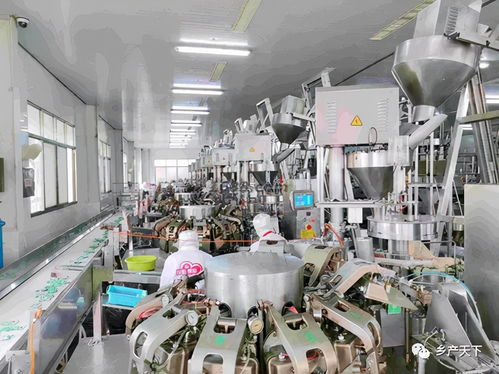 龍頭企業 紅太陽精品 東 菜 西 薯 ,爭做保障供給排頭兵