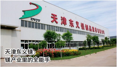 天津東義鎂制品 鎂產業里的全能手