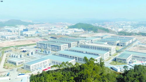 江西鋰業與昂東科技 從資源高地到創新驅動